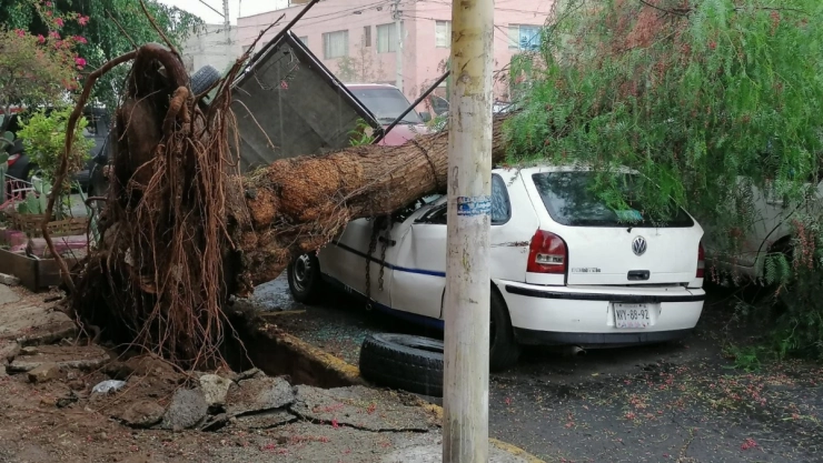 Ráfagas de viento y lluvia provoca caos en CDMX