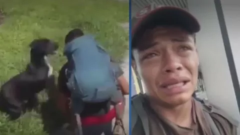 Perro migrante en Monterrey