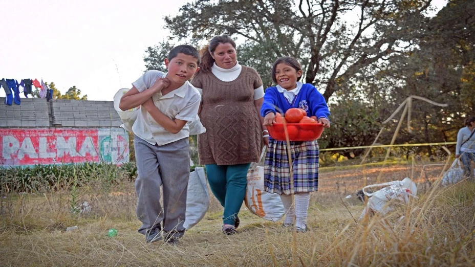 Red BAMX campaña.jpg