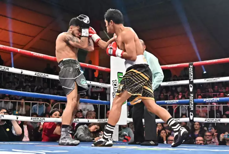 Pantera Nery Froilan Saludar pelea