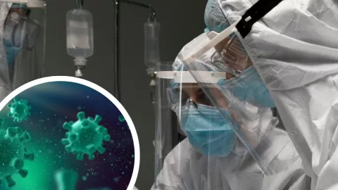 Primer caso de influenza A H3N2 en México: alerta sanitaria por “supergripe”