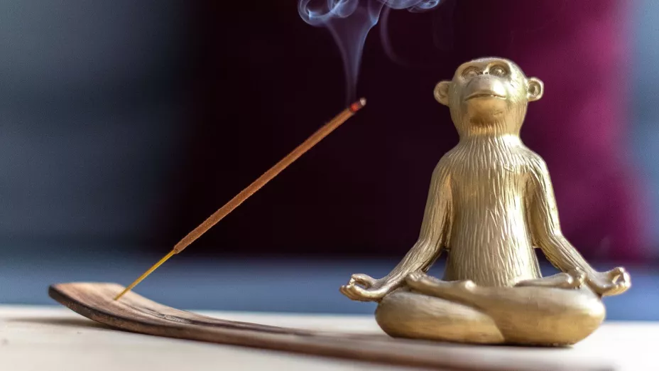 ¿Qué hacer en el Portal 10/10?