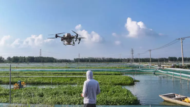 agricultura dia mundial