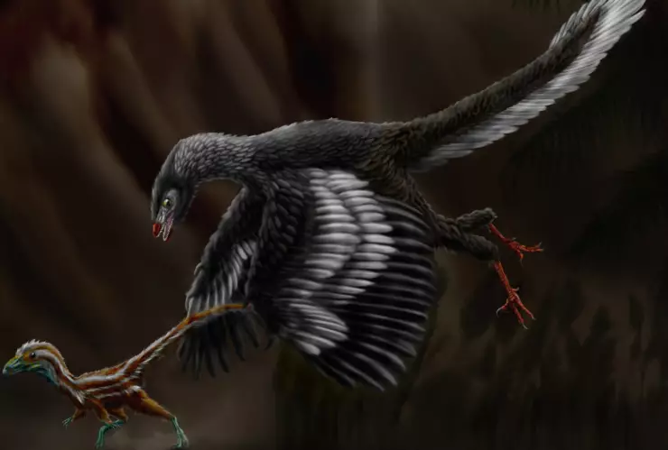 Pluma, fósil, dinosaurio.jpg