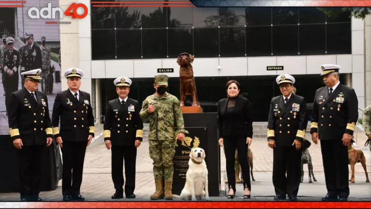 Develan estatua en honor a perrita Frida