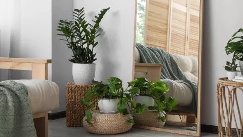 Tendencia en plantas 2026: tonos suaves y macetas naturales crean ambientes cálidos, orgánicos y sofisticados.