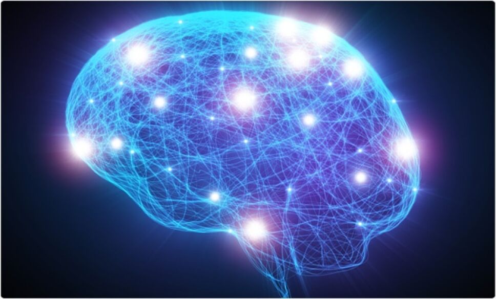 cerebro
