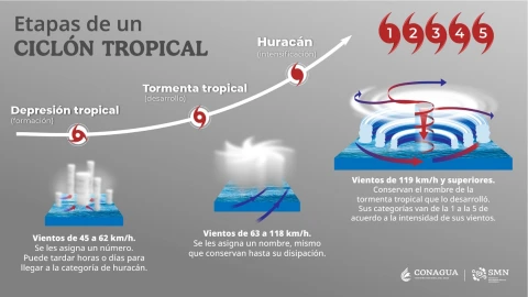 etapas ciclón tropical smn.webp