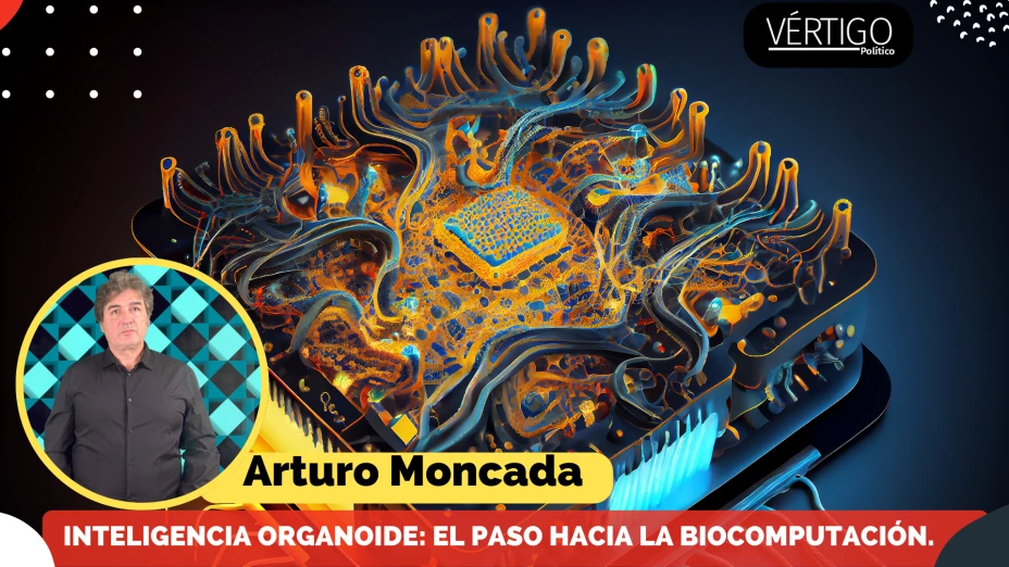 Copia de COLUMNAS (1920 × 1080 px)-24.png