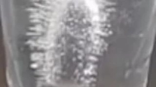 Virgen de Guadalupe en un vaso con agua