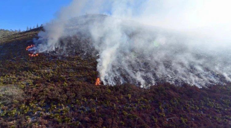 incendio_arteaga.jpg