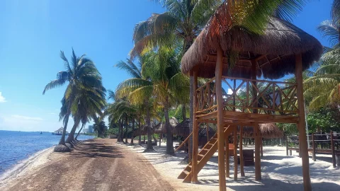 Conoce la playa pet-friendly en Cancún