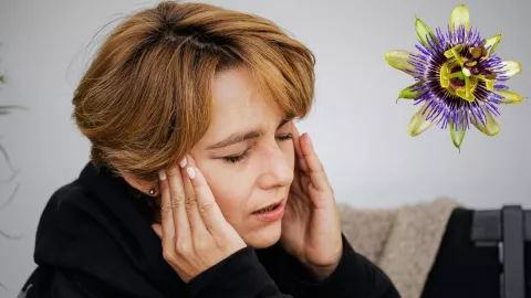 Alivia tus dolores con las bondades de esta famosa planta medicinal.jpg