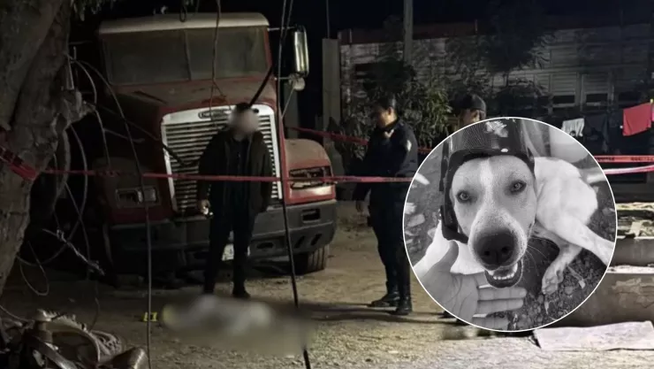 Asesinan a perrito Dilan en el Ejido Benito Juárez en Ahome