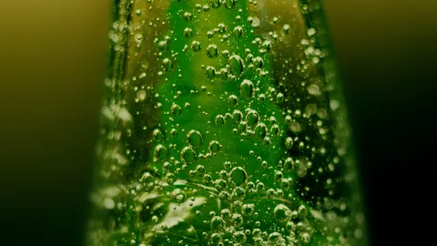 El aloe vera ayuda a calmar la piel roja después de asolearte
