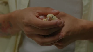 Cortometraje “Un lugar en Tierra Prometida”