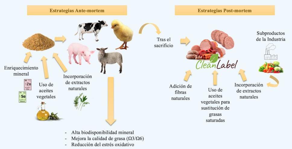 estrategias de productos carnicos