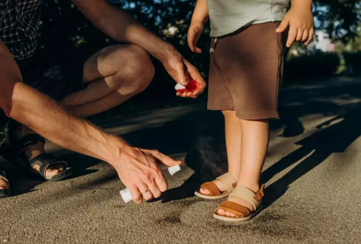 Este repelente de moscas es el mejor y más natural