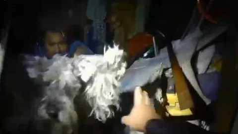 VIDEO Así fue como bomberos rescataron a un hombre y su mascota tras el colapso de su casa en Aguascalientes