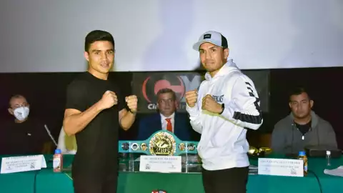 Gallo Estrada Argi Cortes