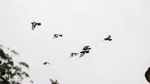 Efemérides del 14 mayo: ¿Qué fue lo que pasó en México y en el mundo?