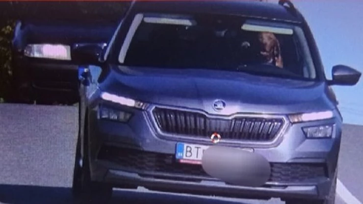 perro-manejando-avenida-eslovaquia-cámara-de-vigilancia-policia