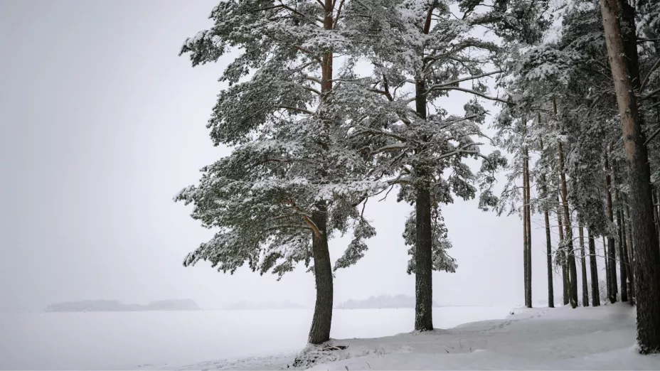 Clima Aguascalientes ¿Cuáles son los cuatro estados que alerta la Conagua sobre caída de nieve y frío extremo