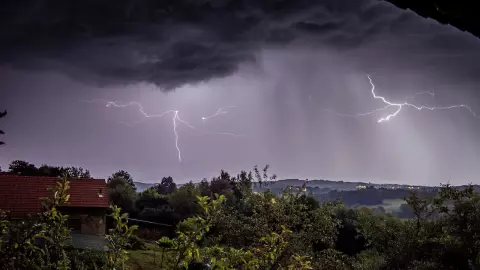 Esta es la razón por la que no debes permanecer debajo de un árbol durante una tormenta eléctrica