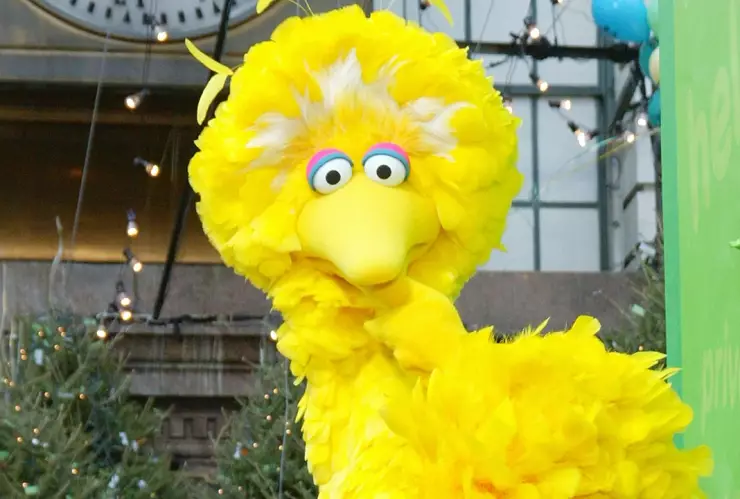 Big Bird de Plaza Sésamo recibe vacuna COVID “me duele un poco el ala”