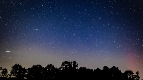 Noche de las Estrellas 2025 en Baja California: cuándo y cómo verlas