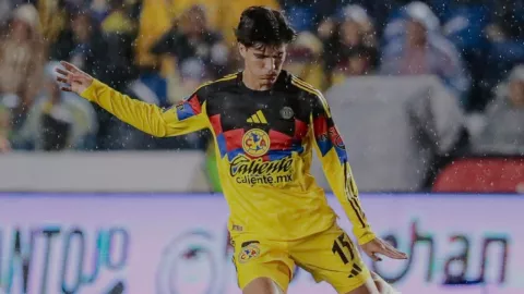 Orquin en Am&eacute;rica