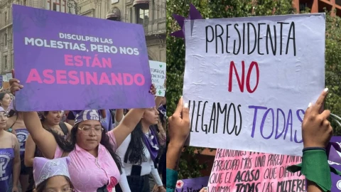 25N protesta violencia de genero, mujeres manifestacion