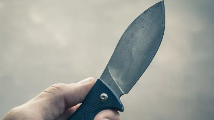 Intentó asesinar a sus abuelos