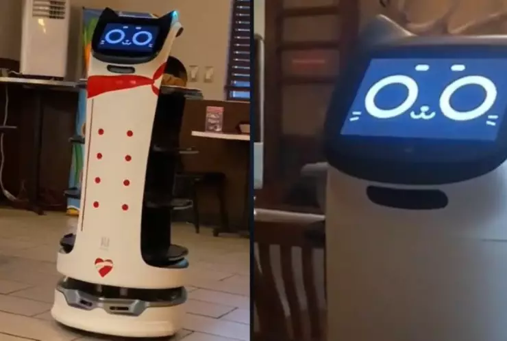 Así luce el michi robot viral de TikTok en su trabajo.