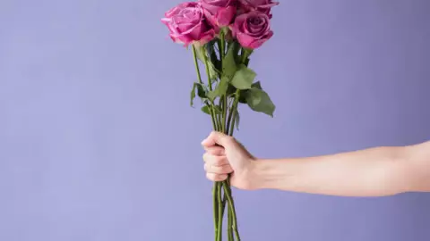 Por qué se regalan flores moradas 9 de noviembre
