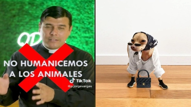 no se debe humanizar a una mascota