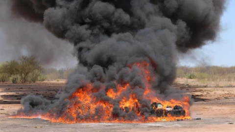 Sonora droga kilos.jp