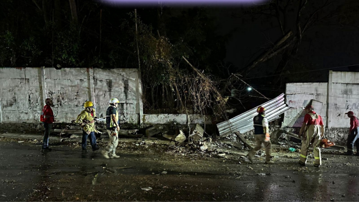 Tormenta en Cuernavaca deja árboles caídos, apagones y calles bloqueadas.