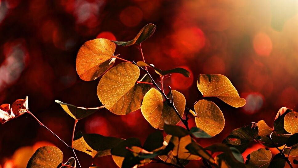 Equinoccio de otoño, cuándo, México b.jpg