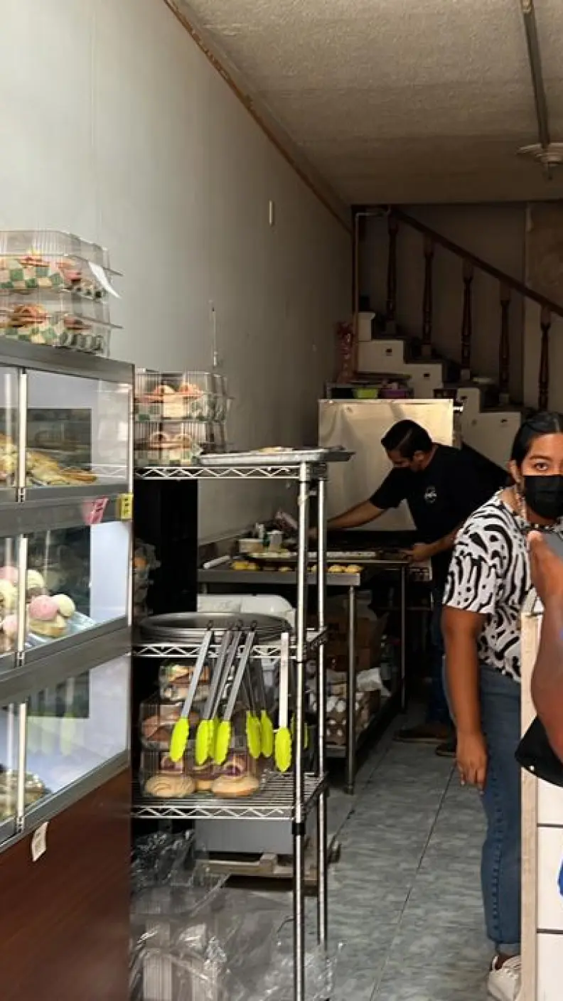 panadería Guadalajara conchas