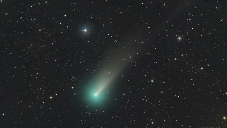 cometa leonard