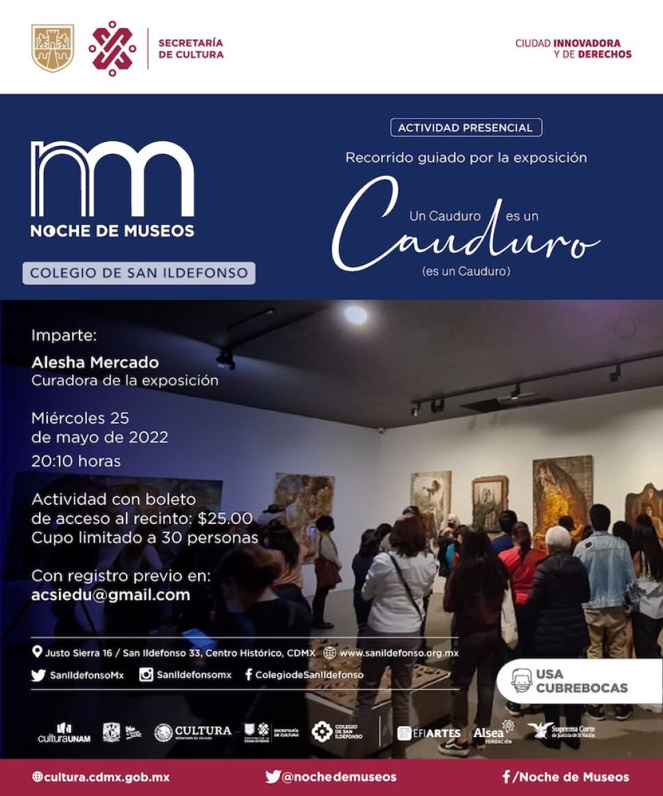 noche de museos san ildefonso