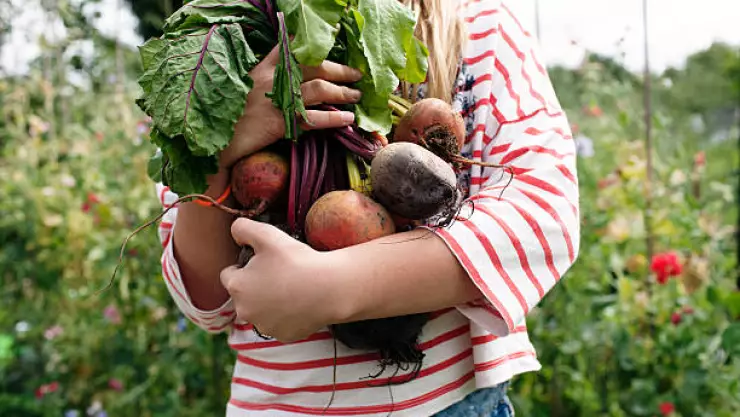 Explotación Infantil