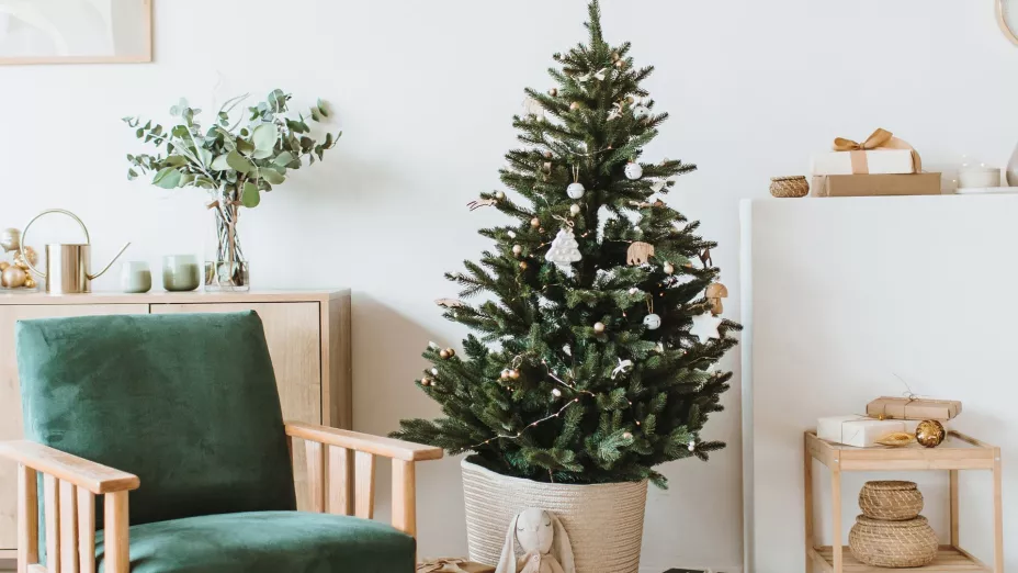 Árbol minimalista escandinavo: Una Navidad serena y elegante con ramas y luces cálidas