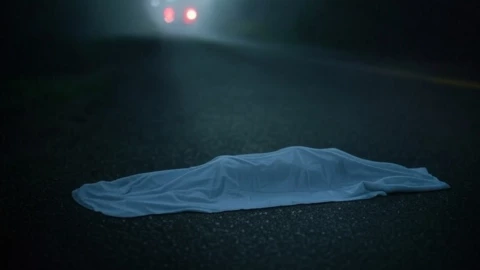 Joven muere atropellado en la carretera San Felipe - Villa de Reyes; 3 marzo 2025.png