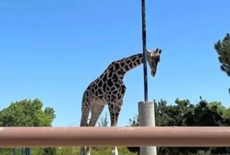 Diseño sin título (2).png