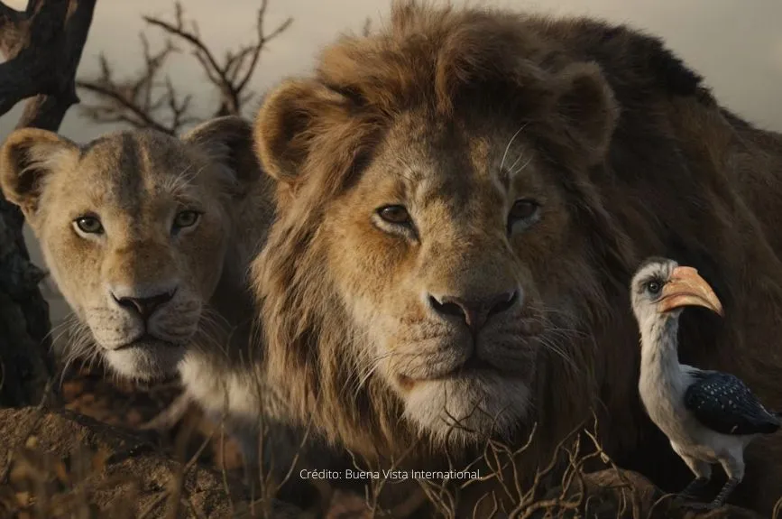 El Rey León Live Action Doblaje