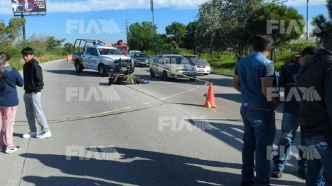 muerto periférico ecológico