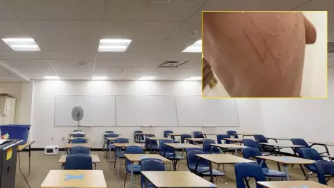 Judío marcado Nazzi.