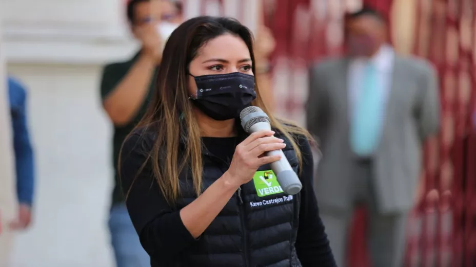 Partido Verde frenar uso de plaguicidas de alta peligrosidad para evitar daños al ambiente.jpg